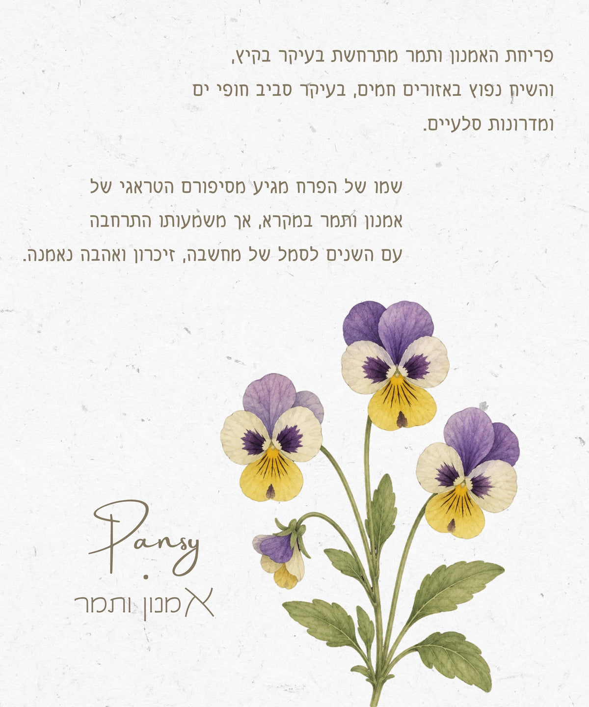 שרשרת פרח אמנון ותמר