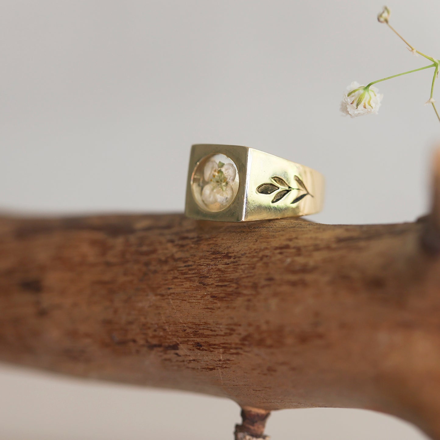 14K Gold Petal Lobularia Ring
