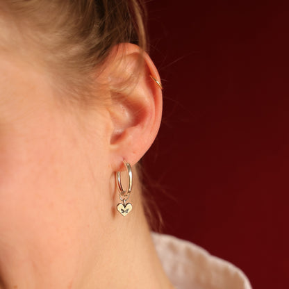 עגילי פאלה חישוק