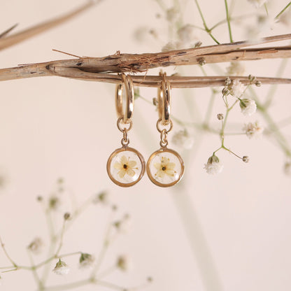 Sun Earrings