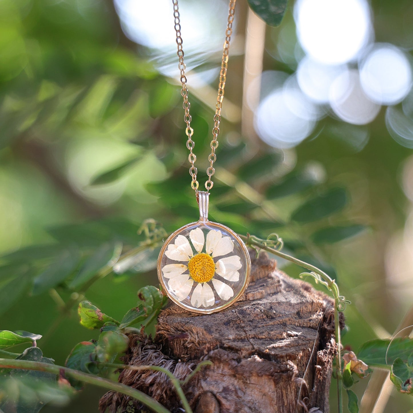 Round Necklace with Chamomile flower
