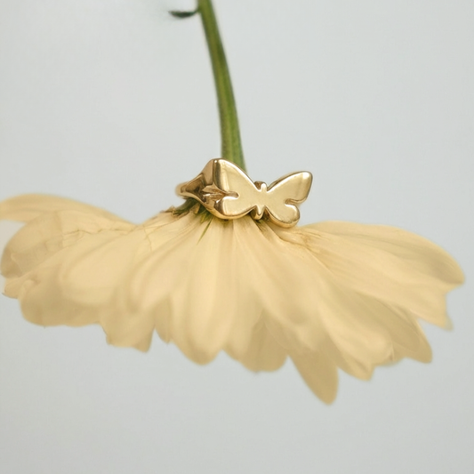 טבעת חותם פרפר זהב 14 קראט