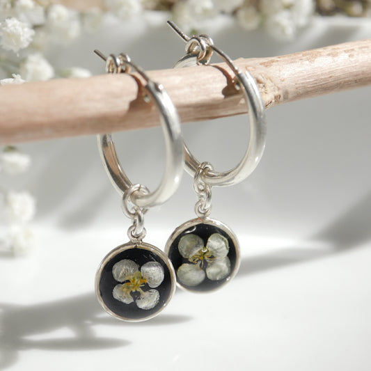 Sun Earrings with Sweet Alyssum flowers