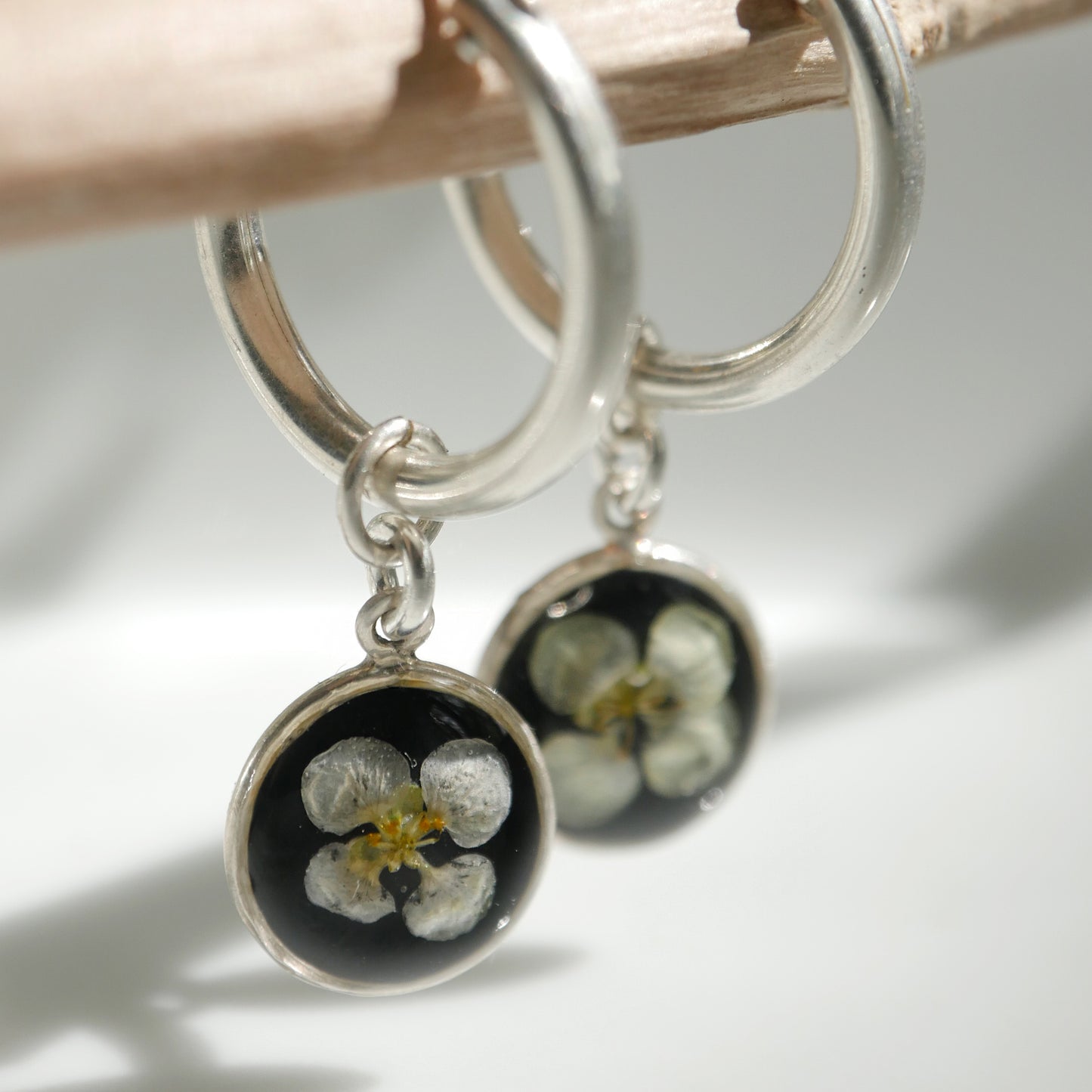 Sun Earrings with Sweet Alyssum flowers