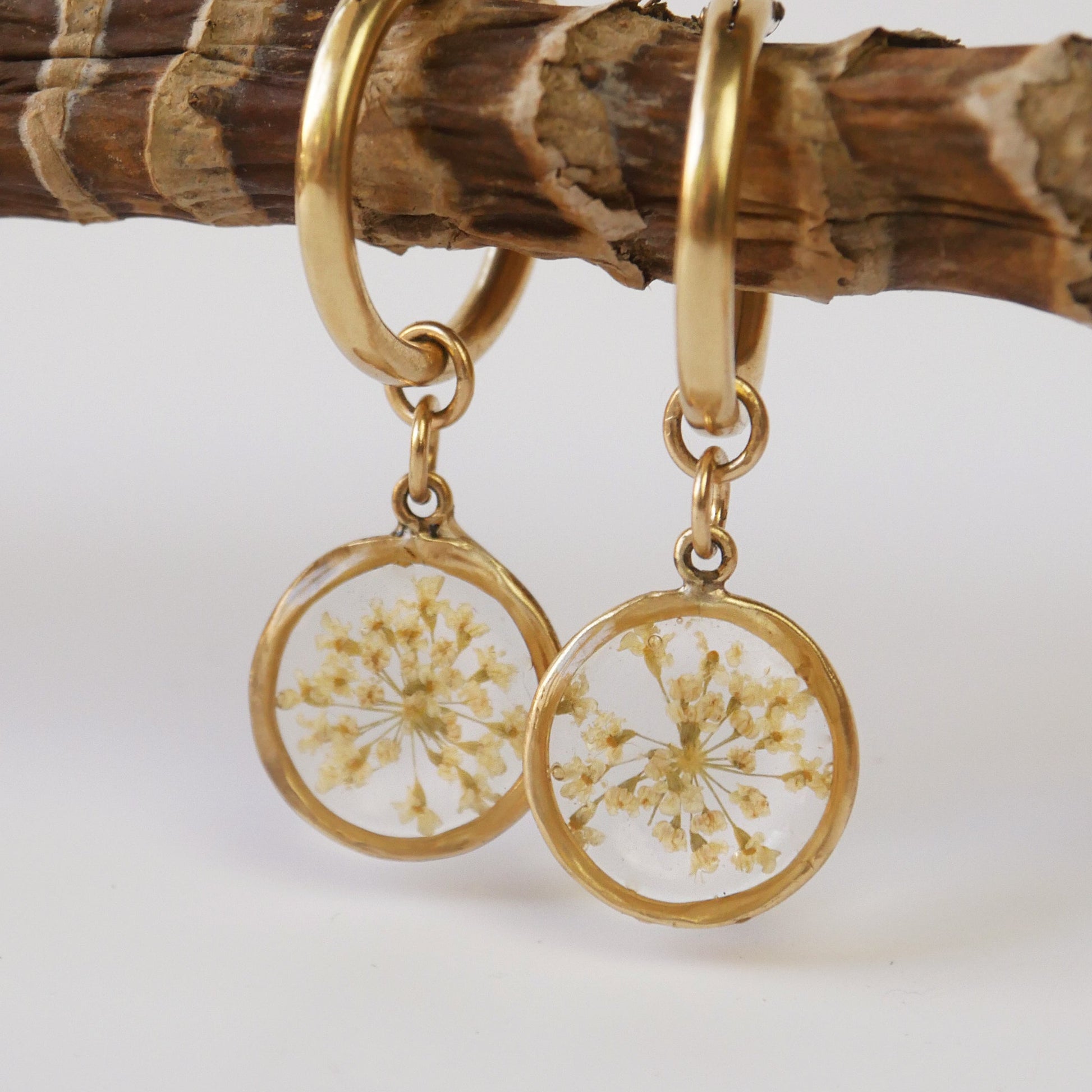 Gold hoop earrings with circular charms featuring dried flowers, hanging on a branch.